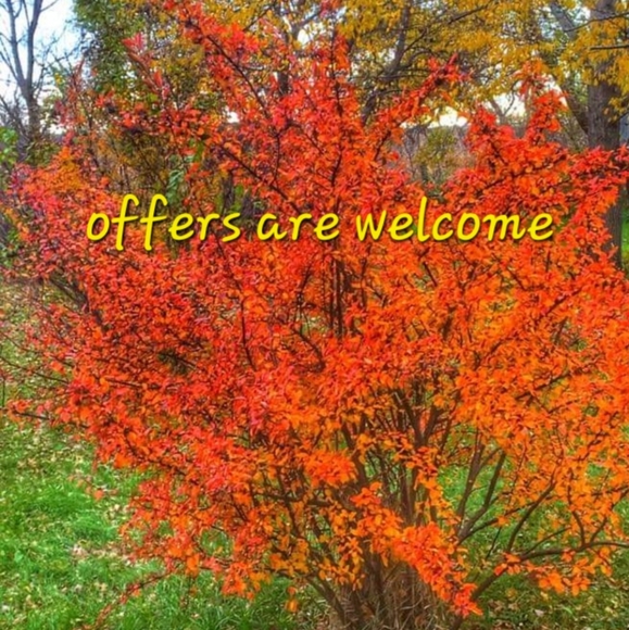 Offers are welcome - Picture 1 of 1